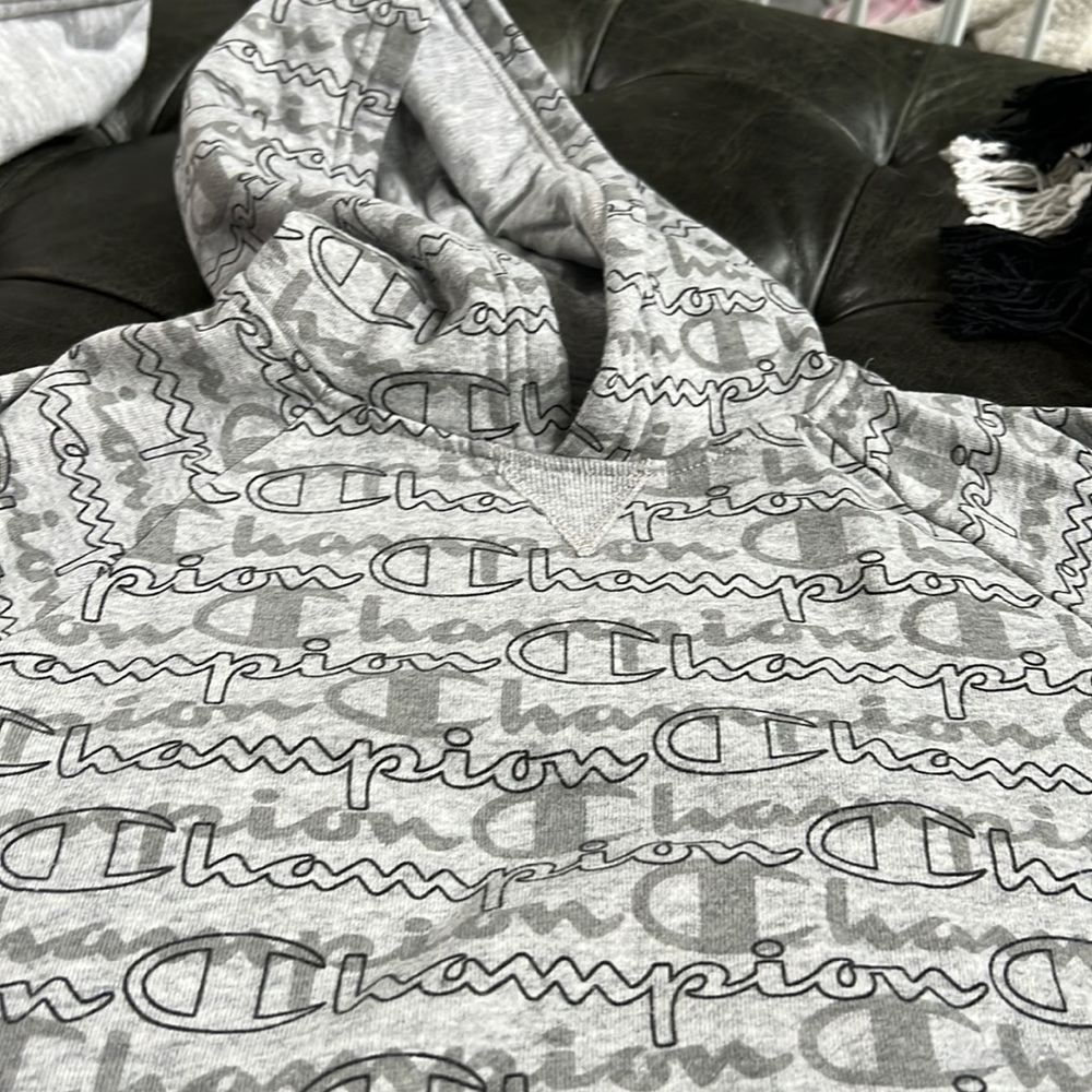 Champion sweatshirt/ hoody
